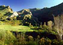 leon_sierragrajos leon_sierragrajos