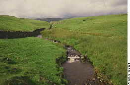 Rolling Hills Rolling Hills