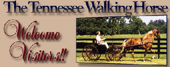 Tennesse Walkers