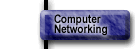 Computer Networking Services.