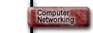 Computer Networking Services.