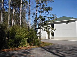 An example of a natural woodland area near a parking lot.